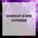 모어댄SMP 이미지