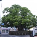 교가1리 이미지