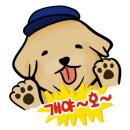 김혜옥칼국수 이미지