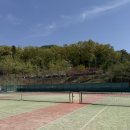 동백산오름공원 테니스장 네이버블로그