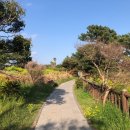 비석거리주유소 이미지