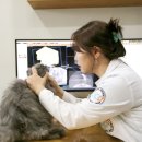 고려종합동물병원 이미지