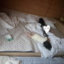 궁민박 이미지