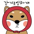 이든 동물의료센터 이미지