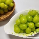 엄지과일유통 네이버블로그