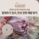 애니컴 메디컬센터 이미지