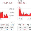 (주)섹터디자인