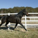 부경목장 이미지