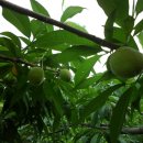 사곡3리 이미지