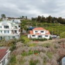 서호동-70 이미지