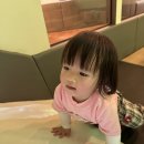 리틀비틀키즈카페 - 성남시 중원구 도촌로8번길 14 | 리틀비틀키즈카페