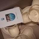 햇빛누리 | ✨ 집안 분위기를 살려주는 아띠누리 슬릿 다육이 화분, 직접 써본 찐후기