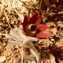 강변연가 이미지