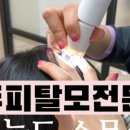 오늘도스무살 - 송파구 문정로1길 34 | 오늘도스무살