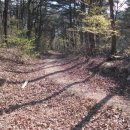 달뜨는언덕 이미지