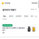 걸리비어여행기