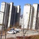 진해 맨발걷기 편백나무 숲 진해 드림로드 황톳길 후기
