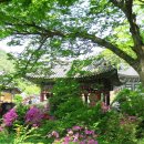 민들래민박 | 선비의 고장 안동 의성지역 명소 탐방