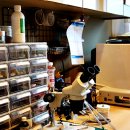 스타키보청기 목동센터 이미지