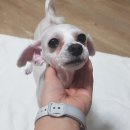 철강로 이미지