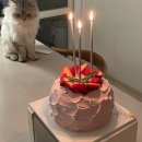 세븐일레븐 한남순천향병원점 | 한남동 뚜띠한남 홀케이크 생일 예약 구입 후기 (feat. 한남동 기념일 데이트 코스)