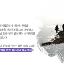 충남 보령 천북 굴 축제마당에 초대합니다. 이미지