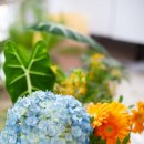 문수로410번길 이미지