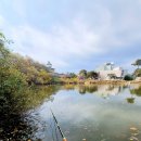 신장소류지 이미지