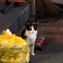 아프리카 노래연습장 이미지