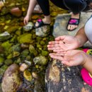 무주 스테이 이미지