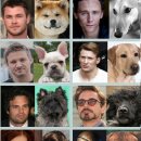 개벤져스 이미지