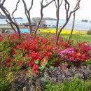 장척마을 이미지