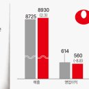 농심상회 네이버블로그