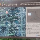 신대호수 휴게마당 이미지