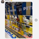 바젤PC방 | 8월 넷째주 주간일상, 스포츠특강 종료, 할캉스시작