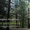 성산농협주유소 이미지