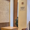 펜스토리 | 6세영어 잉글리시에그 스텝1-3 당근 후기 플링플링 연결 플링펜