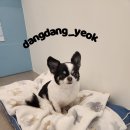 초이미용실 - 동구 | 초이미용실