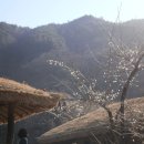 섬진강농장 이미지