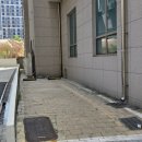 네일할일 - 서구 명가골로 3-2 | 대전 봉명동 네일 '설브네일' 이달의 아트 솔직 후기
