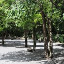 철이네캠핑장 이미지