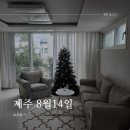 제주8월14일 | [제주숙소] 제주 한림 협재 숙소 에어비앤비 5인이상 ‘8월14일’