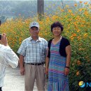 도당1리 이미지