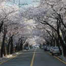 진해여자고등학교 이미지