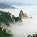 강남포차 네이버블로그