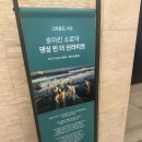서울 라이트 인 명동 | 명동ㅣ롯데백화점 ‘호아킨 소로야: 댄싱 인 더 선라이트’ 후기(미디어아트 전시)