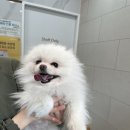 서초이음동물병원 이미지