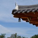 장생농장 이미지