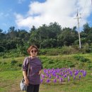 아스타축제 이미지