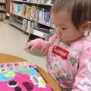 멍이올래 이미지